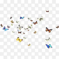 ���Ư����������-������