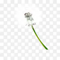 ��ɫ�ѹ�Ӣ��ҵ��-������