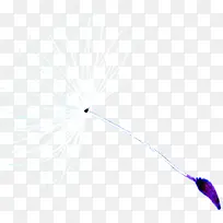 �ɰ�Ψ�������ѹ�Ӣ-������