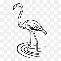 手绘 丹顶鹤-空若网 手绘 丹顶鹤-空若网