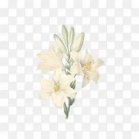 �����ֻ�-������