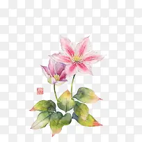 花朵插画手绘素材-空若网 花朵插画手绘素材-空若网