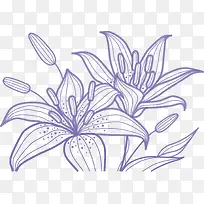 百合花纹-空若网 百合花纹-空若网