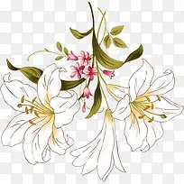 手绘百合圣诞节卡片-空若网 手绘百合圣诞节卡片-空若网