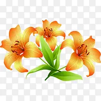 水墨橙色百合七夕-空若网 水墨橙色百合七夕-空若网