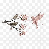 花鸟免抠素材-空若网 花鸟免抠素材-空若网