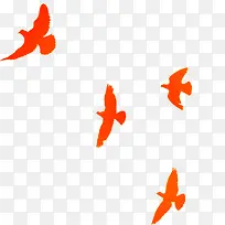 ���Ӱ��ɫ-������