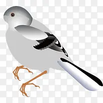 啄木鸟装饰矢量素材-空若网 啄木鸟装饰矢量素材-空若网