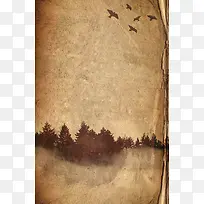 Ê÷ľֽÕű³¾°-¿ÕÈôÍø Ê÷ľֽÕű³¾°-¿ÕÈôÍø