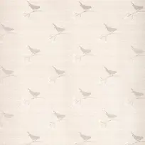 小鸟背景-空若网 小鸟背景-空若网