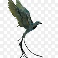 �������ز�ͼ-������