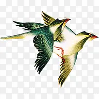 ����˫�ɵ����ز�-������