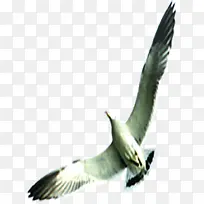 º£Äñ³á°òËØ²Ä-¿ÕÈôÍø º£Äñ³á°òËØ²Ä-¿ÕÈôÍø