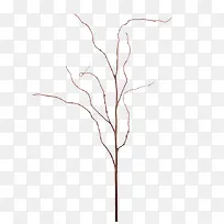 树枝素材-空若网 树枝素材-空若网