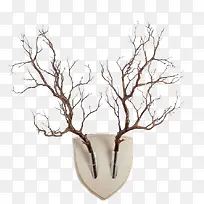 ����֦�ز�-������