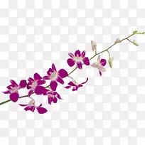 ����pngʸ���ز�-������