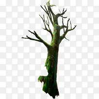 树枝森林背景素材-空若网 树枝森林背景素材-空若网