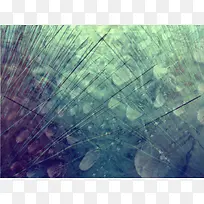 蓝色树枝背景-空若网 蓝色树枝背景-空若网