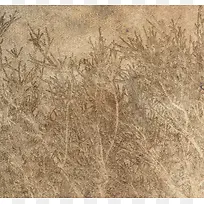 树枝布纹背景-空若网 树枝布纹背景-空若网