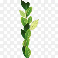 绿色树枝素材-空若网 绿色树枝素材-空若网