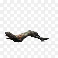 ����֦ͼƬ�ز�-������