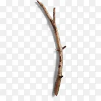 树枝图片素材-空若网 树枝图片素材-空若网