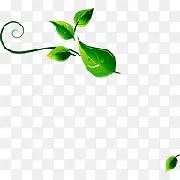 绿色花朵树枝素材立绘-空若网 绿色花朵树枝素材立绘-空若网