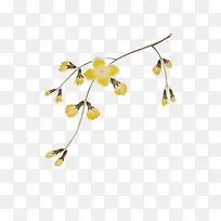 黄色枝叶树枝素材-空若网 黄色枝叶树枝素材-空若网