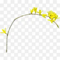 黄色树枝-空若网 黄色树枝-空若网