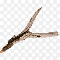 枯萎树枝png素材-空若网 枯萎树枝png素材-空若网
