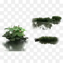 水生莲花素材-空若网 水生莲花素材-空若网