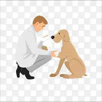 扁平化兽医-空若网 扁平化兽医-空若网