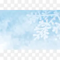 ÃλÃÑ©»¨±³¾°-¿ÕÈôÍø ÃλÃÑ©»¨±³¾°-¿ÕÈôÍø