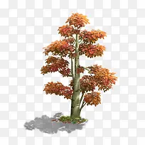 ��ͨ��ɫ��-������