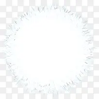 白色雪球-空若网 白色雪球-空若网