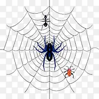 ��������-������