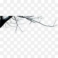 ��ľ-������