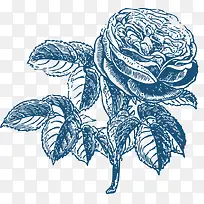 手绘花-空若网 手绘花-空若网