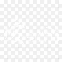 ���ĸ�װ�ɫ�������-������