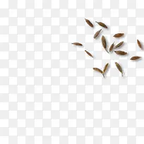 ¿ÅÁ£Ê³Æ·´¿É«º£±¨-¿ÕÈôÍø ¿ÅÁ£Ê³Æ·´¿É«º£±¨-¿ÕÈôÍø