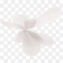 ����ɫ������-������