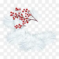 圣诞节冬青松枝-空若网 圣诞节冬青松枝-空若网