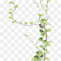绿色藤叶元旦新年快乐-空若网 绿色藤叶元旦新年快乐-空若网
