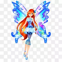 开花三罗克斯罗西植物区系斯特拉-布卢姆-空若网 开花三罗克斯罗西植物区系斯特拉-布卢姆-空若网