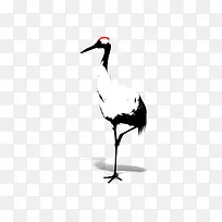 白色仙鹤-空若网 白色仙鹤-空若网