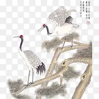 �ɺ�-������