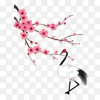 仙鹤-空若网 仙鹤-空若网