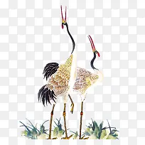 鹤-空若网 鹤-空若网