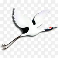 �ֻ濨ͨ��ɫ�ɺ�-������