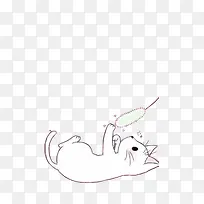 可爱猫咪玩耍-空若网 可爱猫咪玩耍-空若网